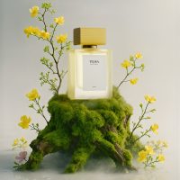 Tilisa - Image 2