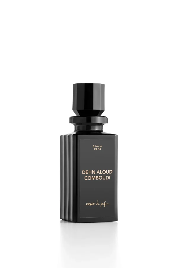 Dehn_Aloud_Comboudi
