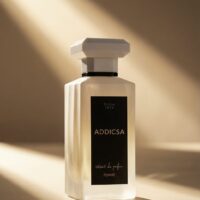 ADDICSA - Image 2